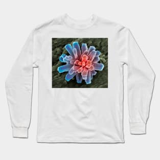 Calcium phosphate crystal, SEM (A600/0865) Long Sleeve T-Shirt